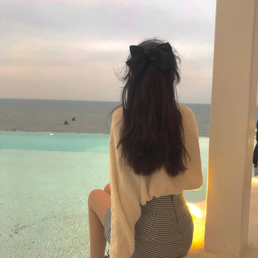 迪克切尼眼中的世界
